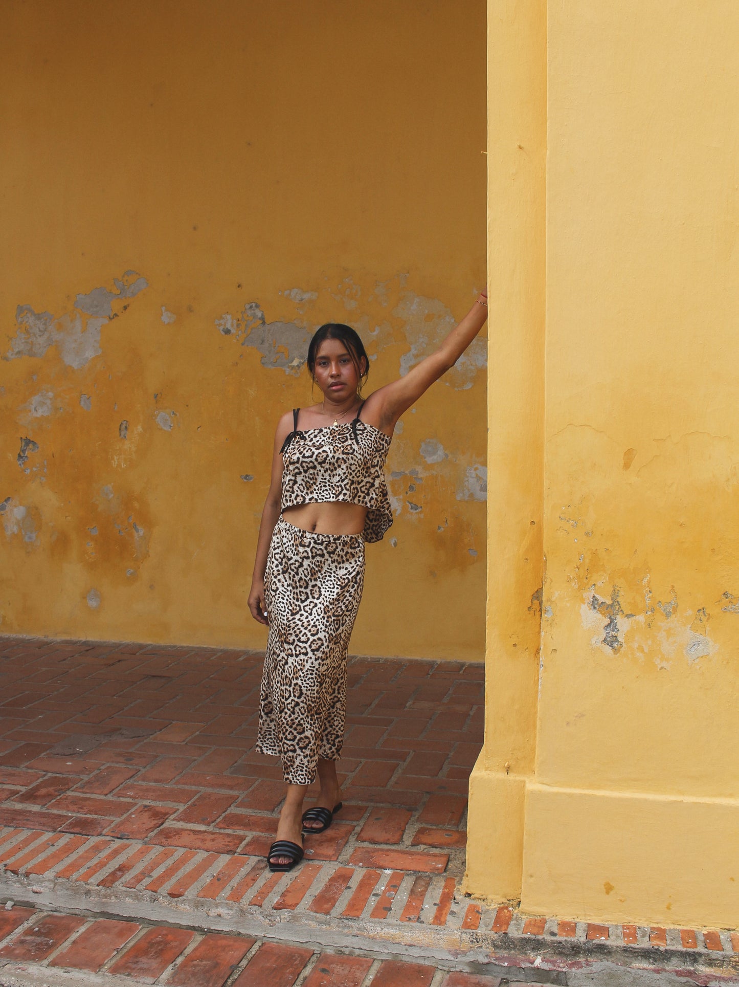Brisa Top Animal Print